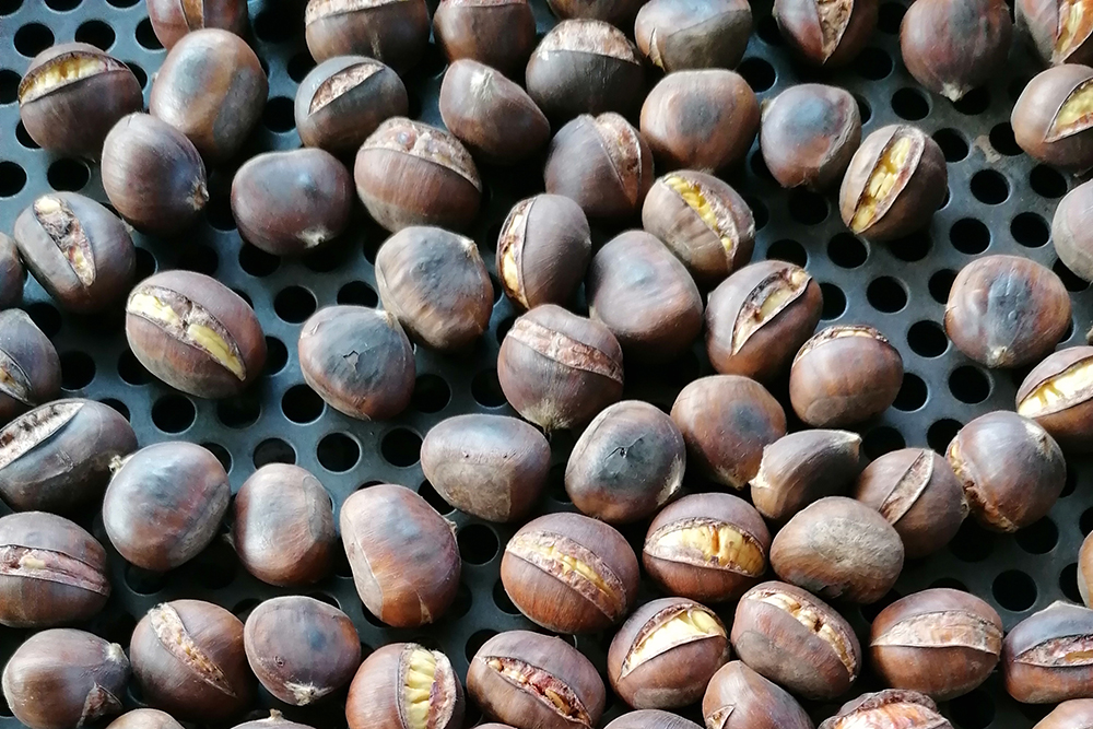 2023.10.27. Gesztenyesütés